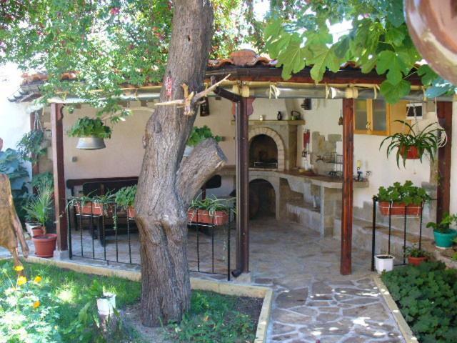 Guest House Alex Τσερνομόρετς Εξωτερικό φωτογραφία