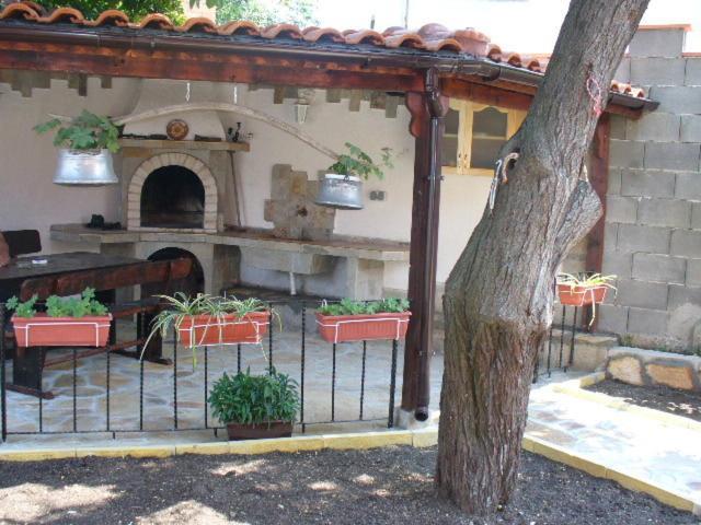 Guest House Alex Τσερνομόρετς Εξωτερικό φωτογραφία